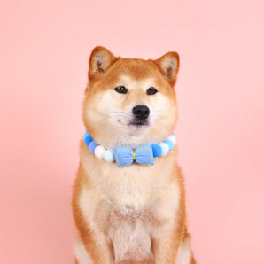 Color Ball Bow Pet Collar