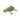 Shell Turtle