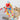 Clowny Cat