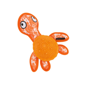 Shellshock O